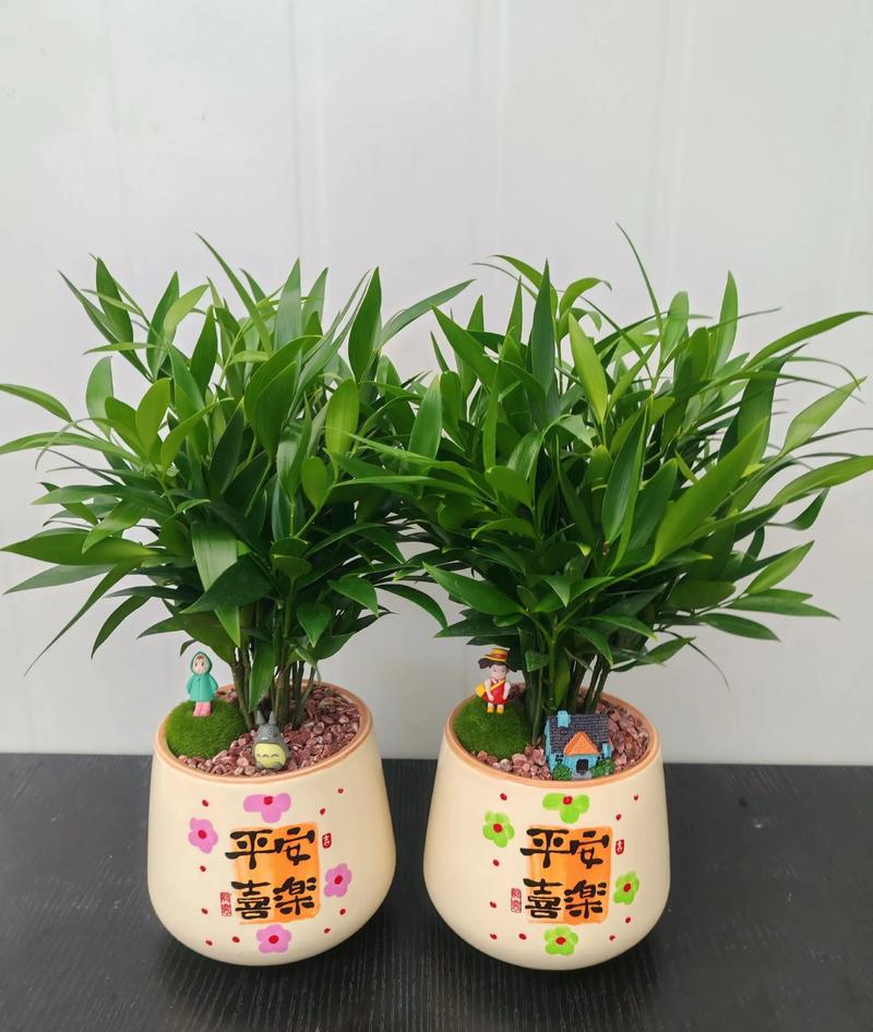 上海绿植租赁
