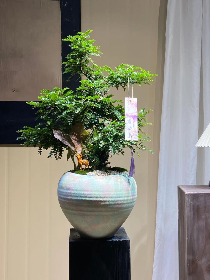 鲜花传递情感：上海鲜花配送案例分享